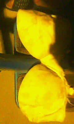 IMG2012A.jpg