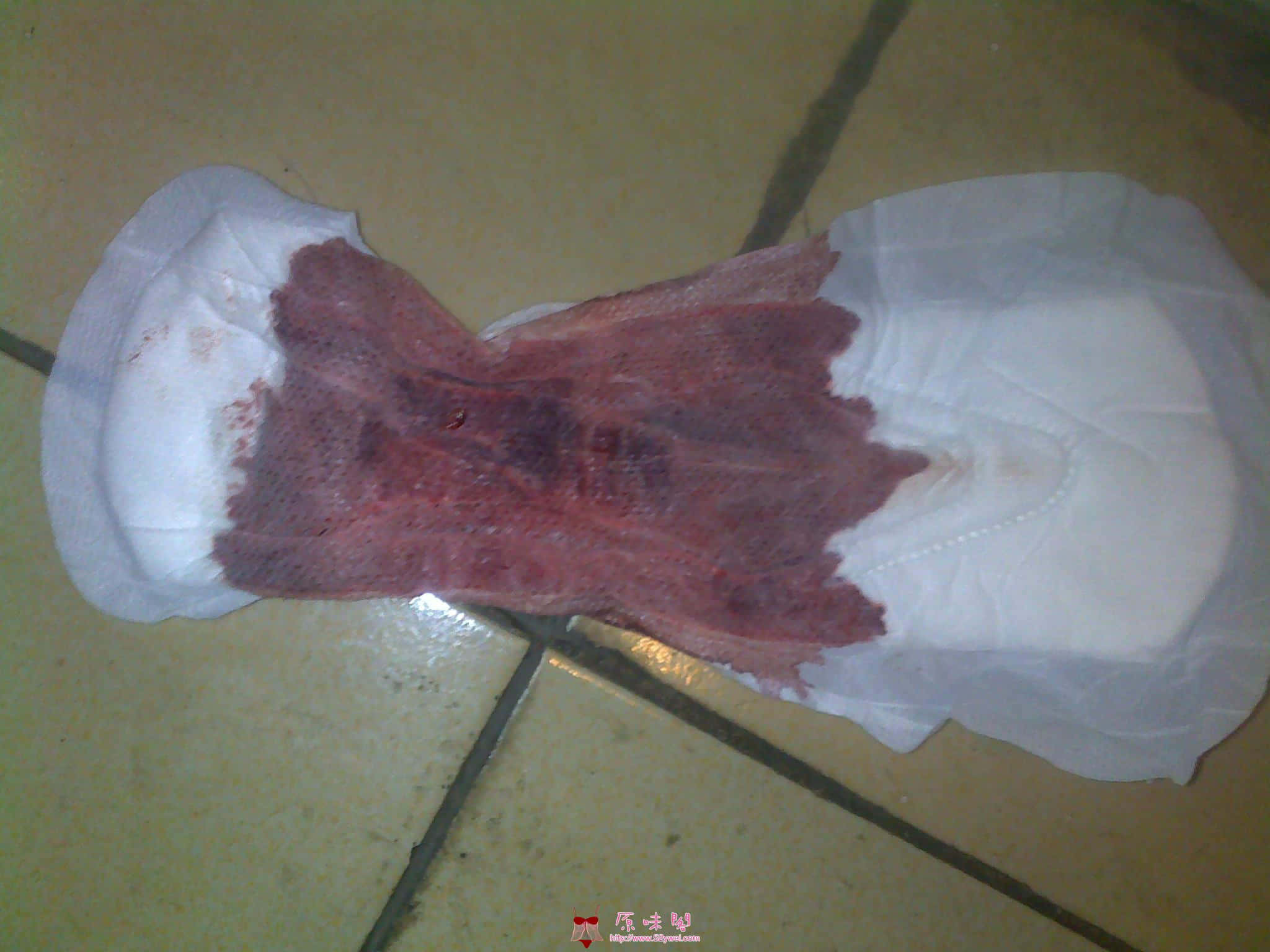 20120204307.jpg