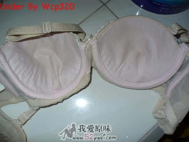 WCP1030684(1).JPG