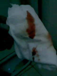 IMG0379A.jpg