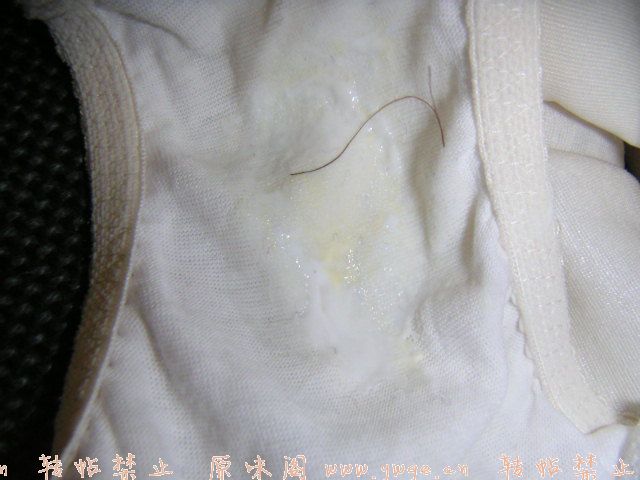 img20070704090646.jpg