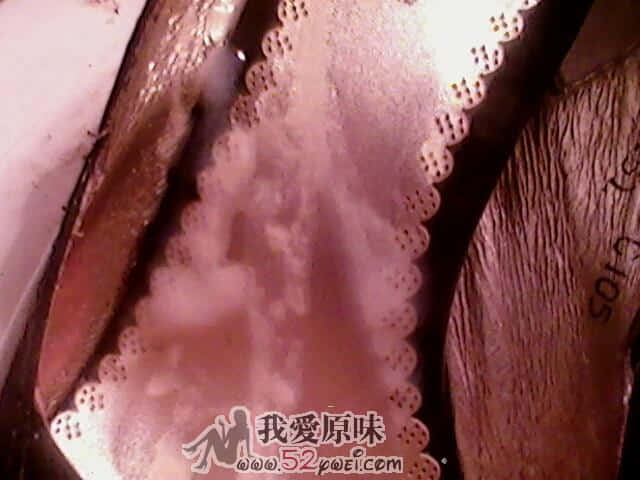IMG0067B.jpg