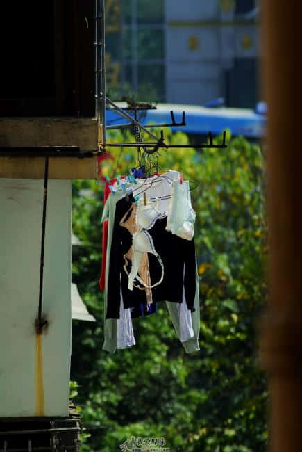 超喜欢那个白色的罩罩,真想搞到手!