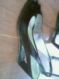 IMG0236A.jpg