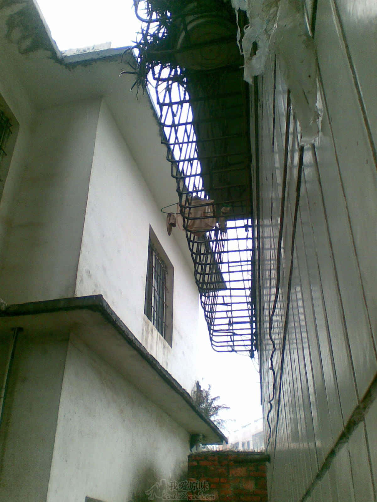 图像000.jpg