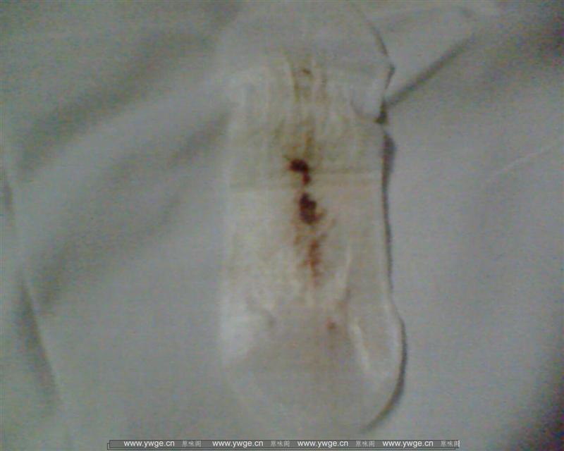 IMG1902A.jpg