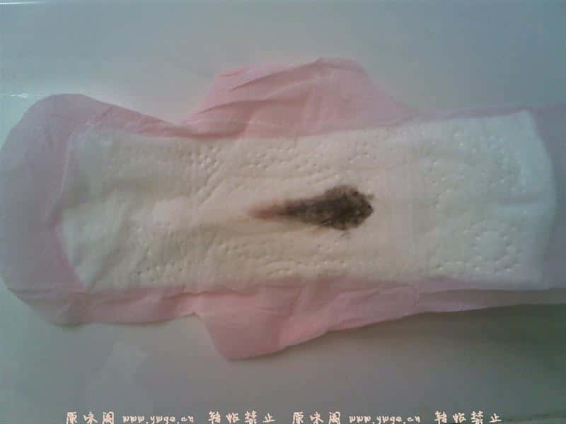 20080101(004).jpg
