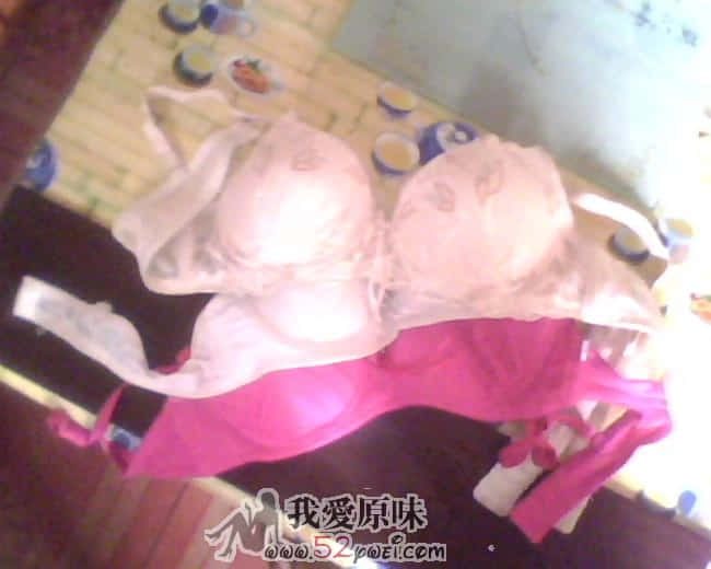 IMG0113A.jpg
