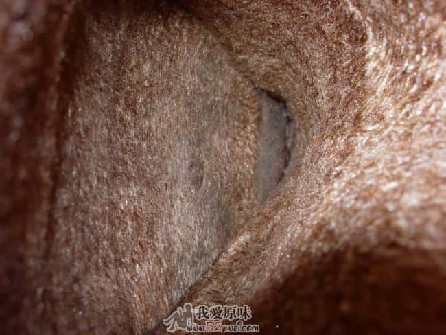 手指用力摸一下，再拿出来有粘滑出水的感觉