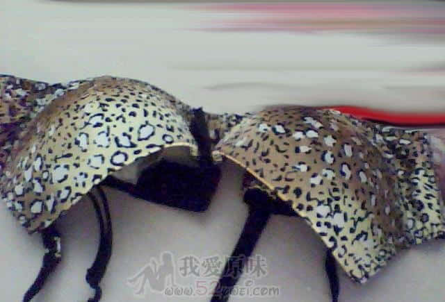 2010010501.jpg