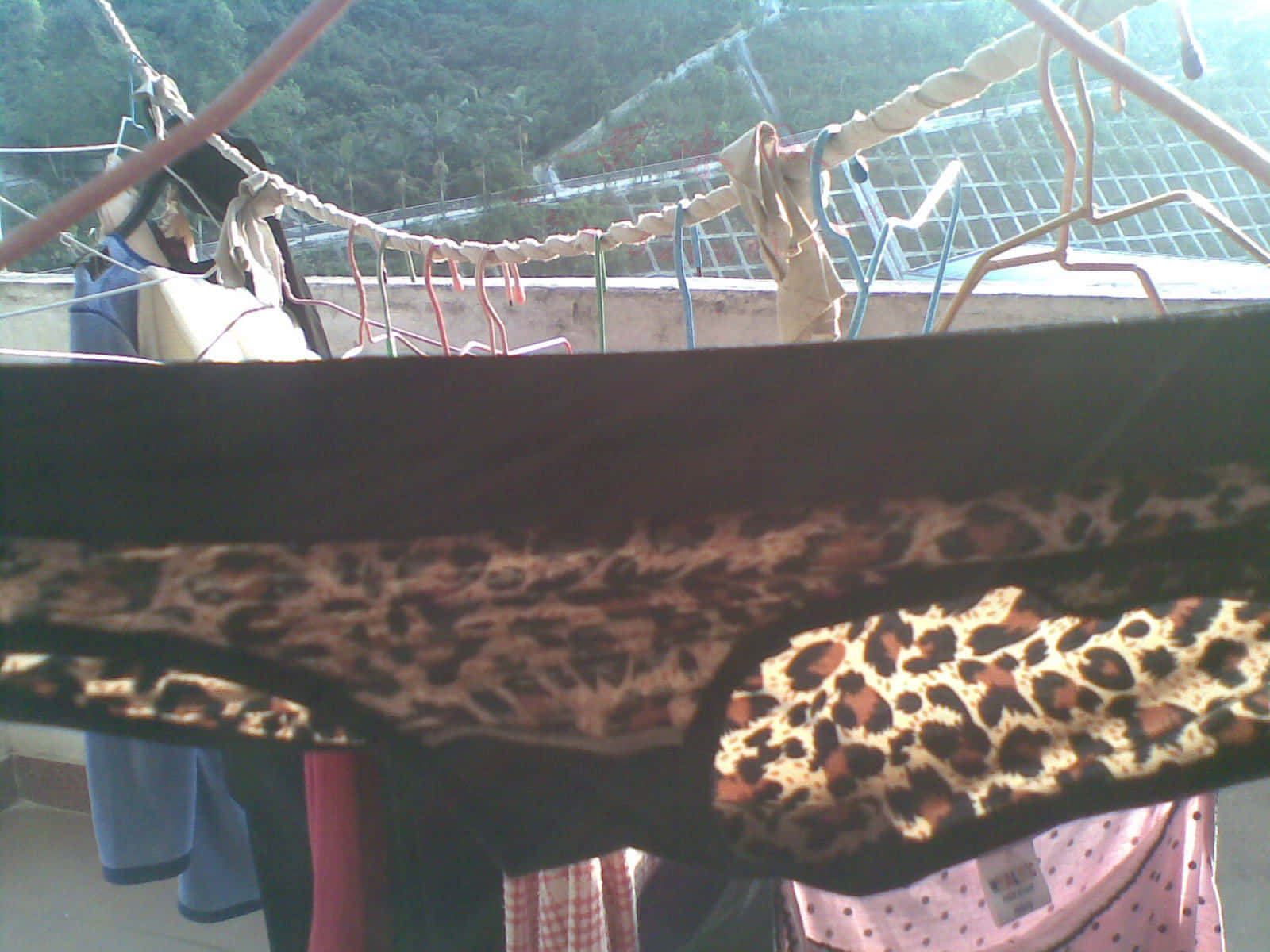 20121217_001.jpg