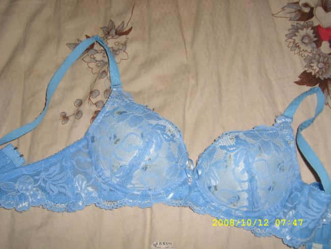 SL270011.JPG