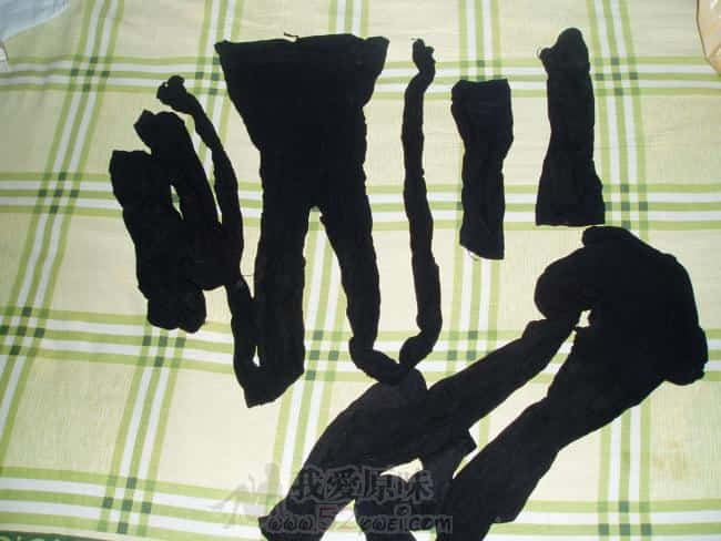 P1010307.JPG