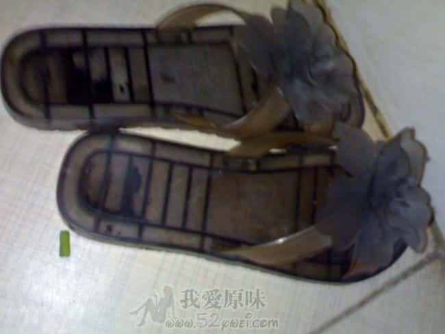 200910312329.jpg