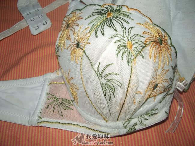 IMGP8870.JPG