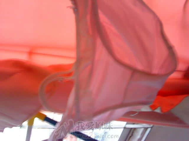 DSC00573.JPG