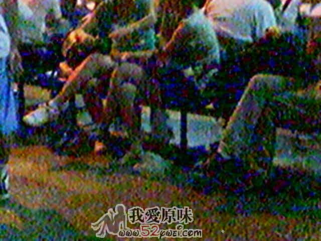 20090628(001).jpg