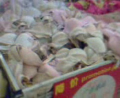 SNP0034A.jpg