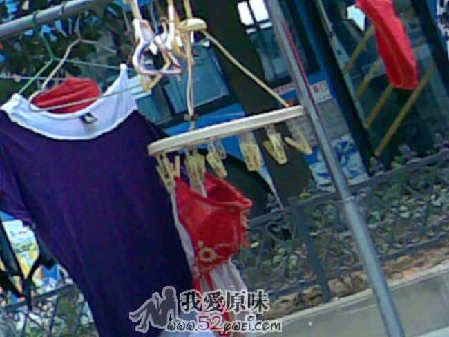 20090825(004_6).jpg