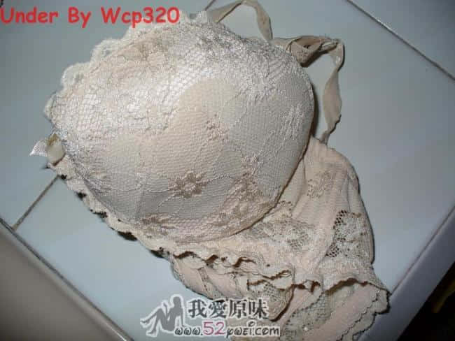 WCP1030678(1).JPG