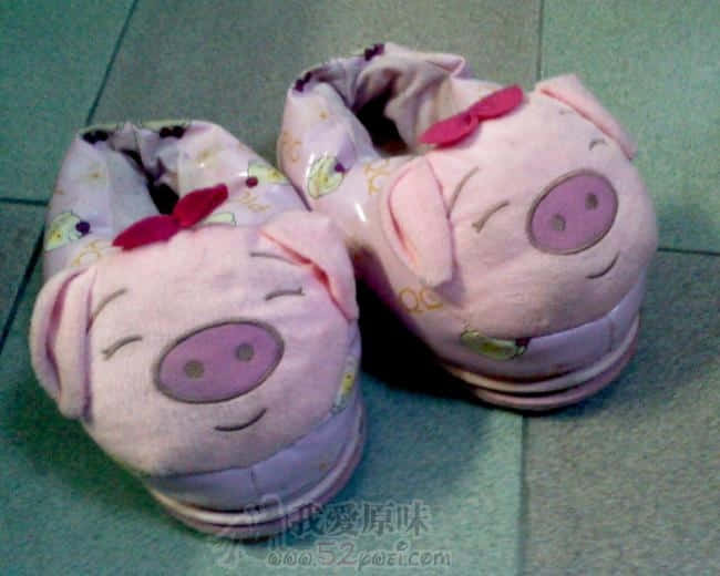 猪拖2A.jpg