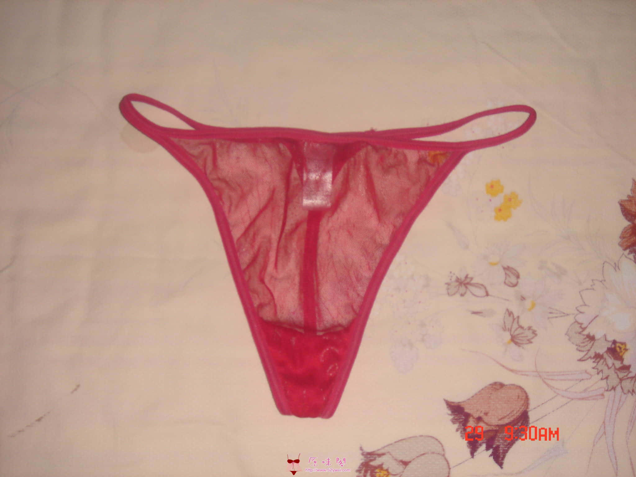 DSC01652.JPG