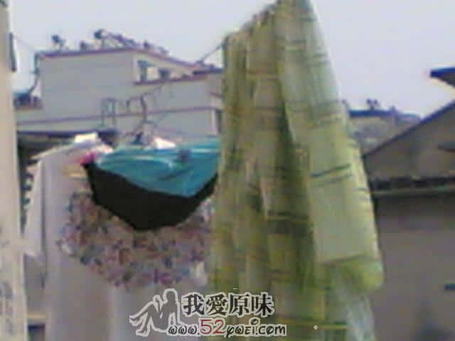 20090604.jpg