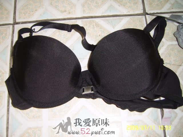 SV106343.JPG