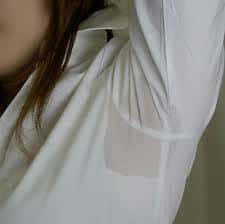 imagesCA03DKL9.jpg