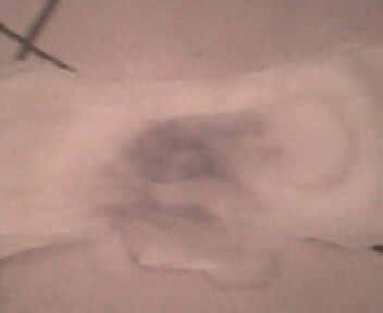 IMG0024A.jpg