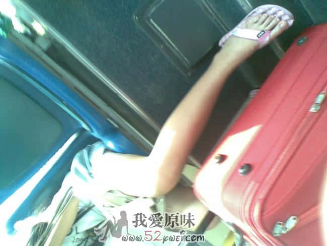 20090823226.jpg