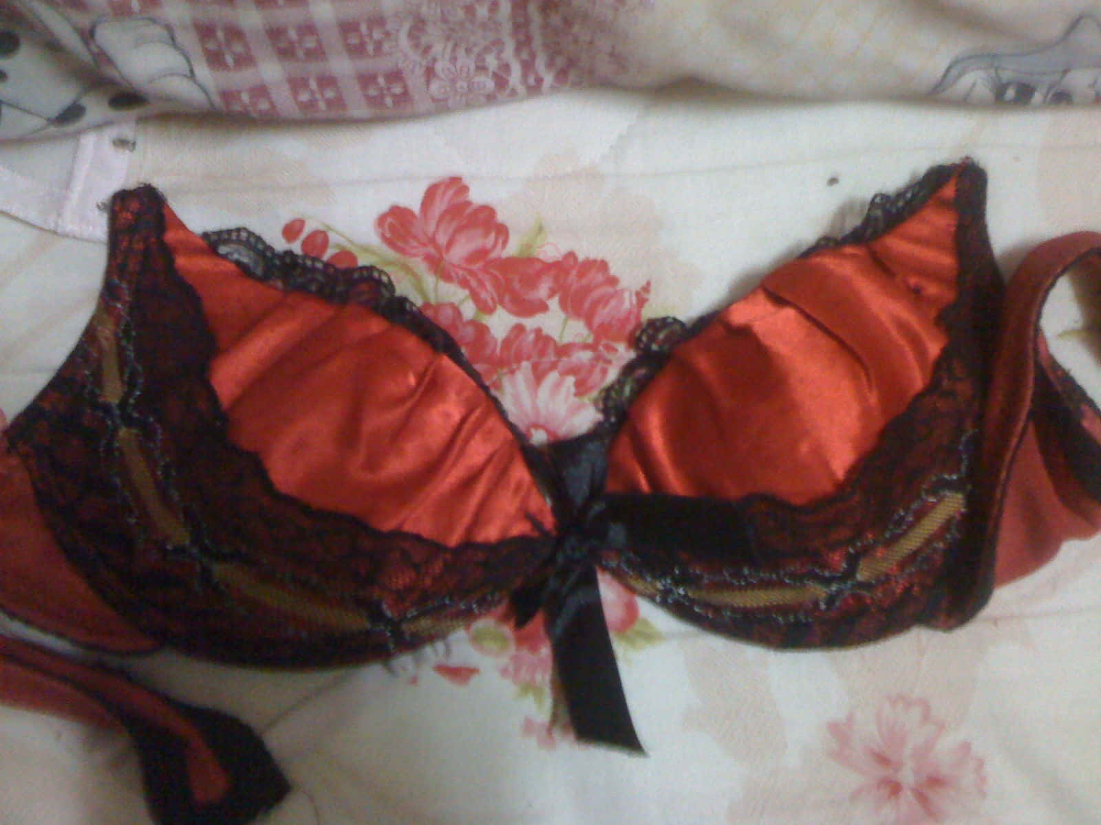 0_2013010422400200_IMG_0562.JPG