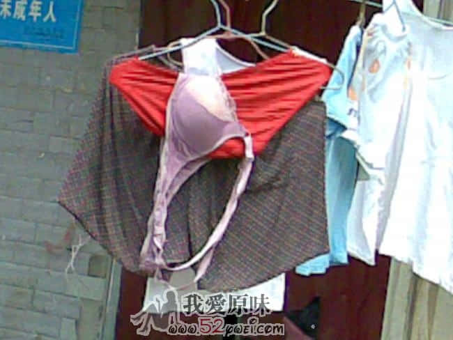 20090825(006).jpg