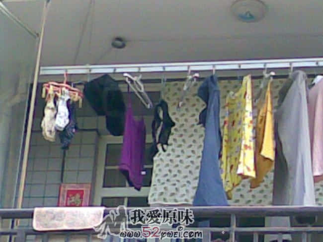 20090826(004).jpg